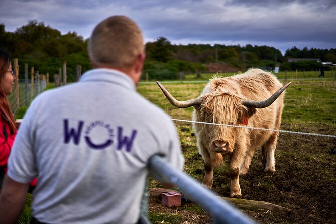 Full-Day Tour of Scotland From Invergordon - Scottish Highlands Scenery