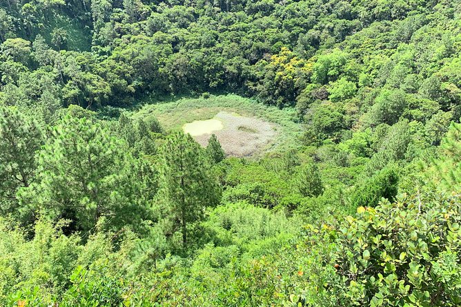 Full-Day Tour of South West Mauritius - Trou Aux Cerf
