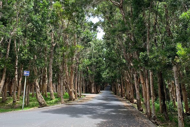 Full-Day Tour of South West Mauritius - Rhumerie De Chamarel Distillery
