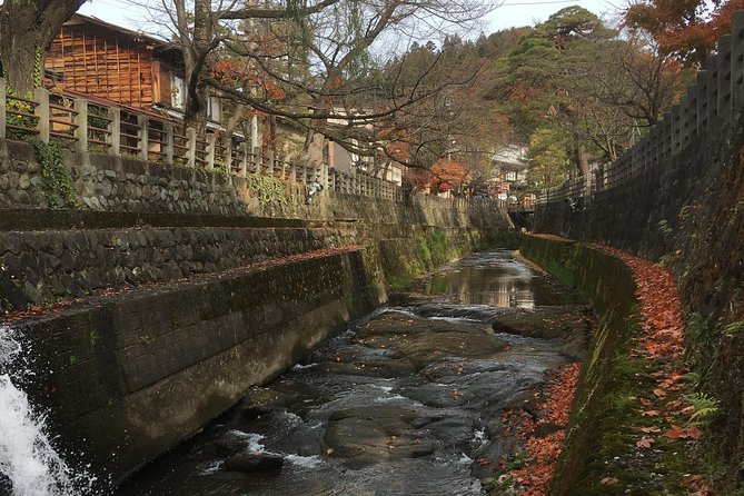 Full Day Tour of Takayama - Transportation