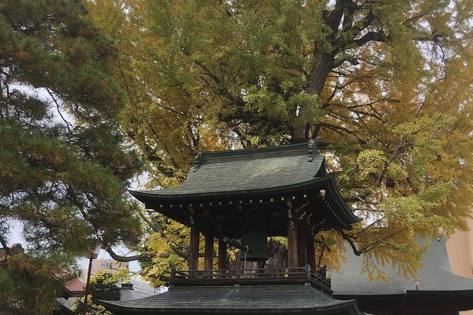 Full Day Tour of Takayama - Cultural Experiences