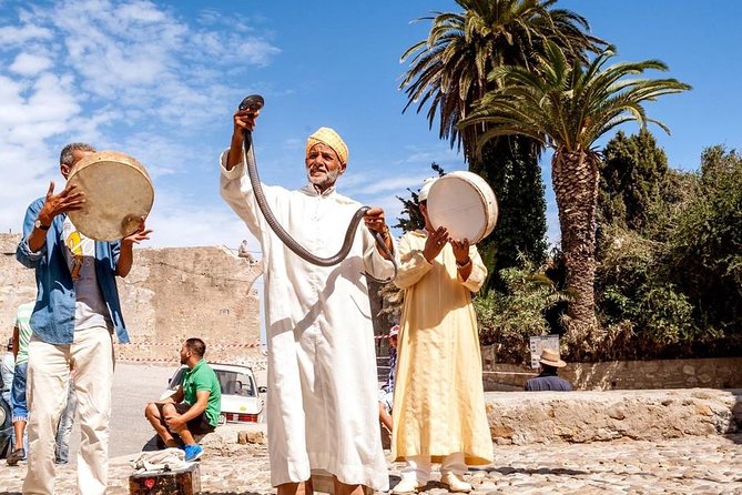 Full-Day Tour of Tangier in Morocco From Seville - Tour Feedback and Reviews