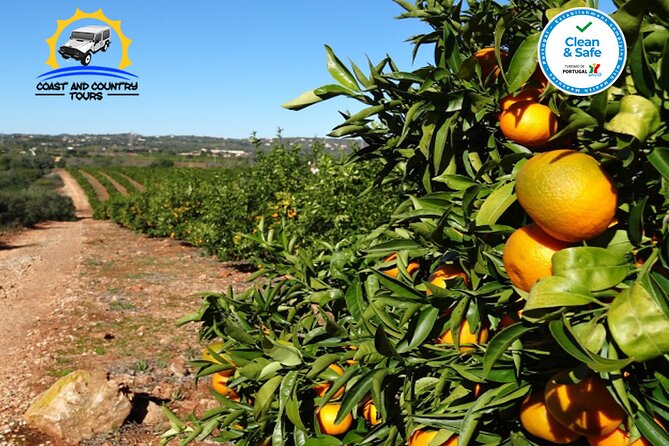 Full Day Tour of the Algarve With Jeep Safari - Inclusions