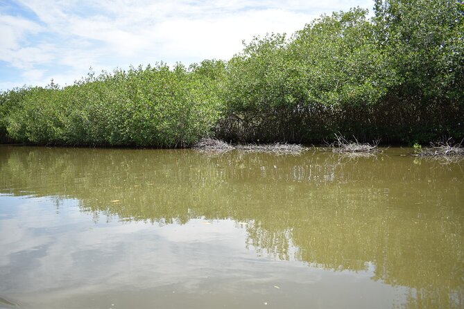 Full Day Tour of the Mangrove Swamp and Mud Volcano in Cartagena - Pickup and Transportation