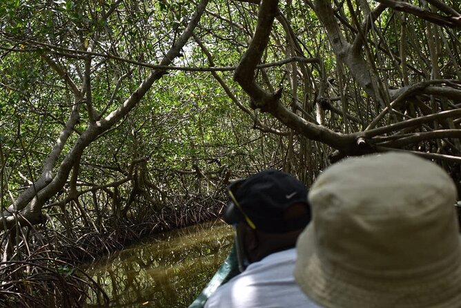 Full Day Tour of the Mangrove Swamp and Mud Volcano in Cartagena - Booking and Cancellation