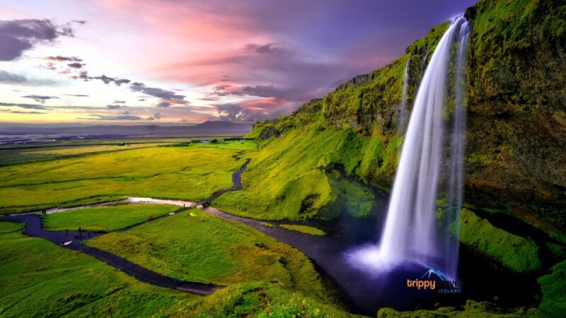 Full-Day Tour of the Scenic South Coast of Iceland - Tour Experience