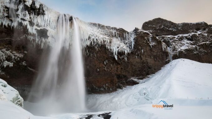 Full-Day Tour of the Scenic South Coast of Iceland - Frequently Asked Questions