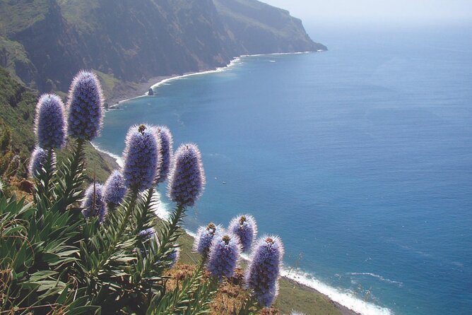 Full Day Tour of the West Zone of Madeira - Additional Information