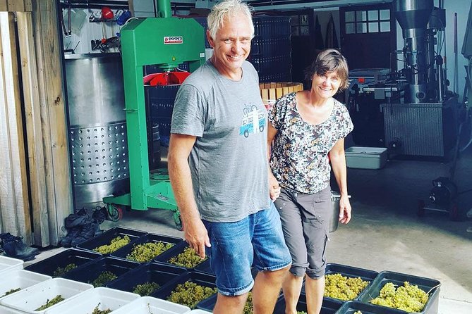 Full-Day Tour of Waiheke Island With Wine Tastings - Wine Tasting Lessons
