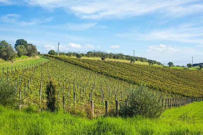 Full-Day Tour of Waiheke Island With Wine Tastings - Personalized Service