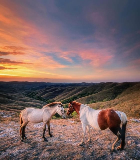 Full Day Tour of Waterfalls, Hills and Beaches in Sumba - Waimarang Waterfall
