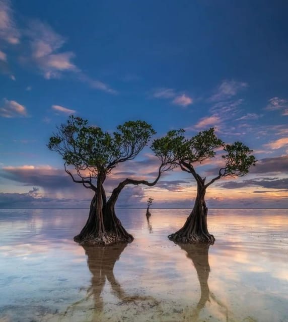 Full Day Tour of Waterfalls, Hills and Beaches in Sumba - Walakiri Beach