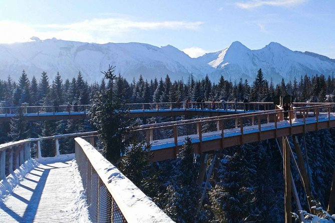 Full-Day Tour of Zakopane and Slovakia Treetop From Krakow - Quick Points