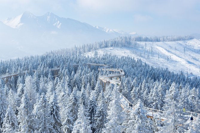 Full-Day Tour of Zakopane and Slovakia Treetop From Krakow - Tour Logistics