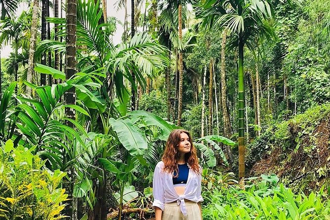 Full-Day Tour Old Goa Dudhsagar Falls and Spice Plantation - Cultural Sites in Old Goa