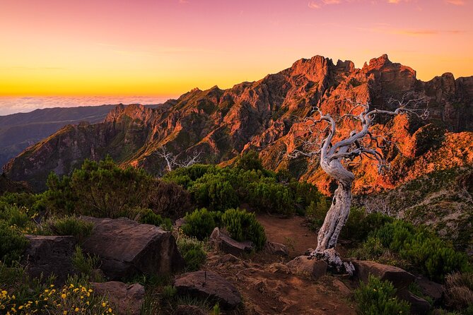 Full Day Tour on Madeira Island - Inclusions and Logistics