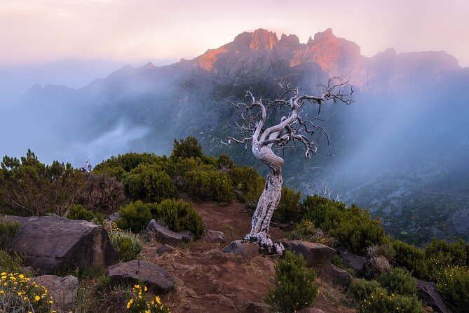 Full Day Tour on Madeira Island - Customer Reviews and Feedback
