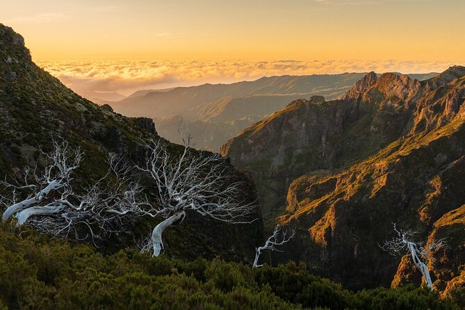 Full Day Tour on Madeira Island - Discovering Cabo Girão