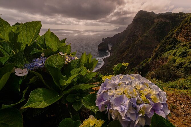 Full Day Tour on Madeira Island - Enjoying the Skywalk Experience