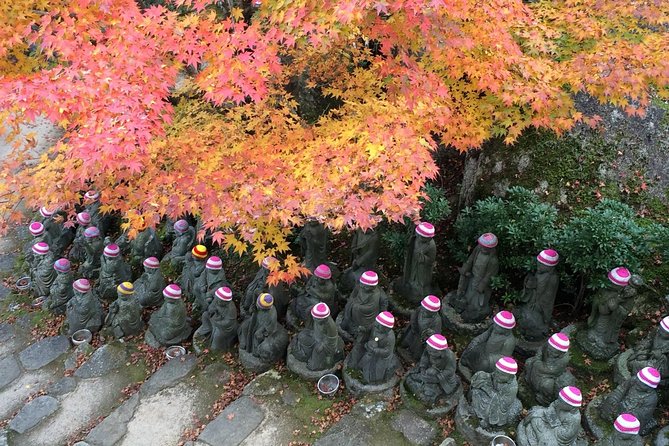 Full Day Tour on Your Arrangement - Inclusions
