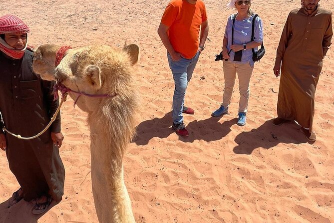 Full Day Tour Petra and Wadi Rum From Amman - Wadi Rum Adventures