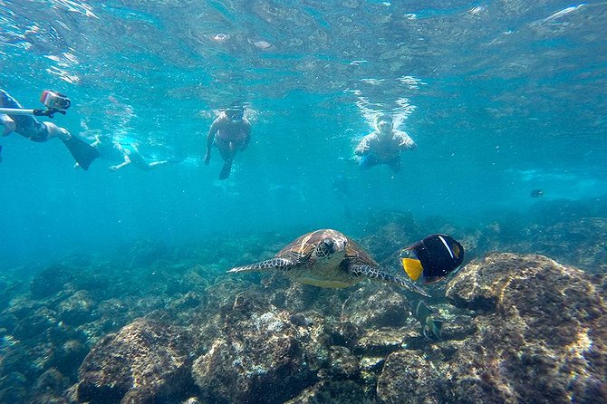 Full Day Tour Pinzon Island + La Fe/Las Palmas - Snorkeling & Fishing - Inclusions and Logistics