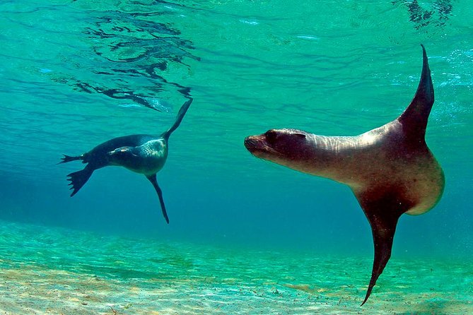 Full Day Tour Pinzon Island + La Fe/Las Palmas - Snorkeling & Fishing - Customer Reviews