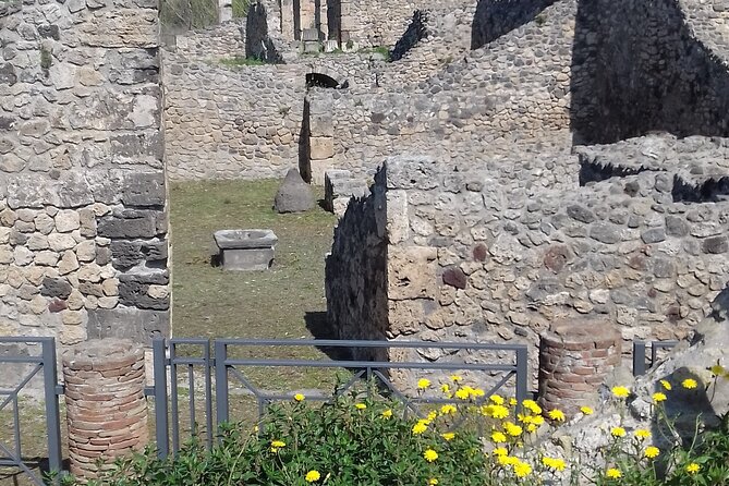 Full Day Tour Pompeii–Sorrento -Positano - Pricing Details