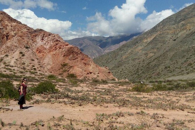 Full-Day Tour Salinas Grandes and Purmamarca From Salta - Traveler Feedback