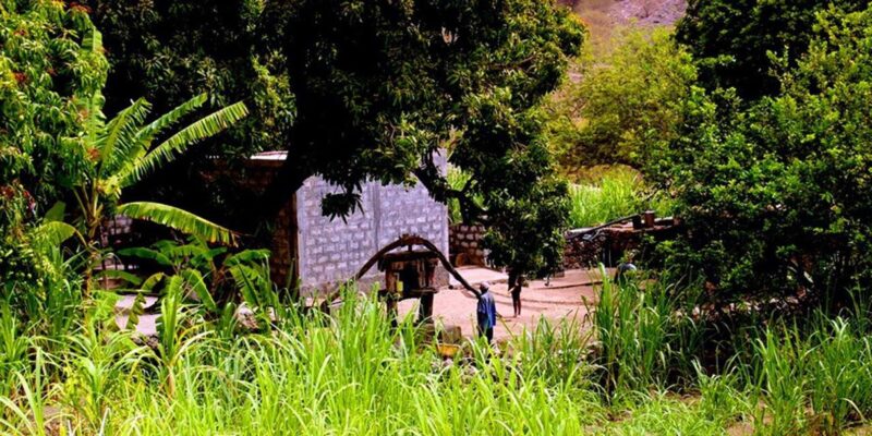 Full Day Tour Santo Antão (By Car) - Important Information for Participants