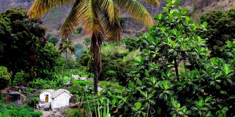Full Day Tour Santo Antão (By Car) - Transportation and Interaction