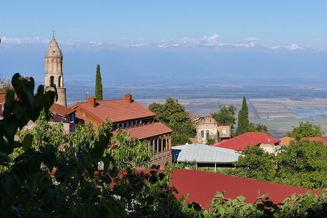 Full Day Tour Sighnaghi and Bodbe Including Wine Tasting - Inclusion and Policies