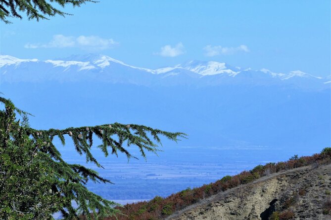 Full Day Tour Sighnaghi and Bodbe Including Wine Tasting - Travelers Considerations