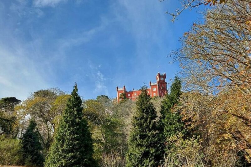 Full Day Tour Sintra - Cascais - Experience and Attractions