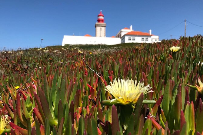 Full Day Tour: Sintra, Pena Palace, Cabo Da Roca, Cascais - Cancellation Policy