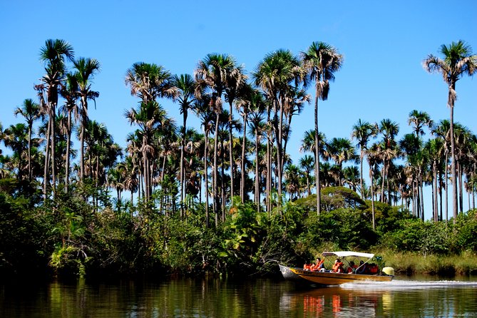 Full Day Tour Through Preguiças River by Speedboat - Key Points