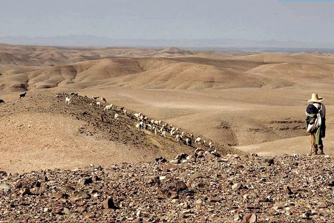 Full Day Tour to Agafay Desert and Atlas Mountains From Marrakech - Pickup and Drop-off Details