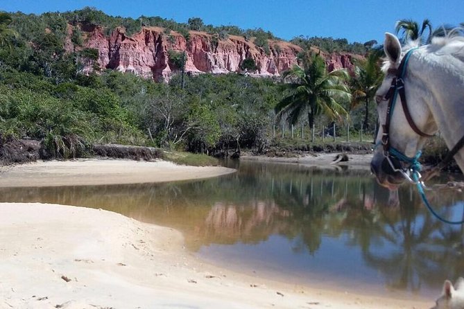 Full-Day Tour to Arraial D'ajuda From Porto Seguro - Accessibility and Participation