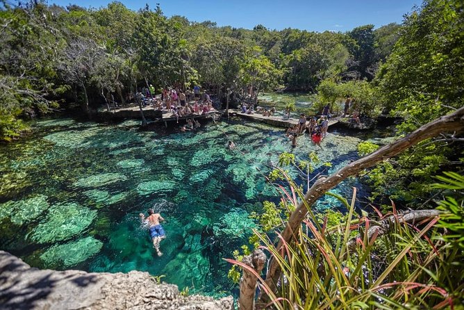 Full Day Tour to Bacalar, Beach Club, Kayak and an Amazing Cenote - Customer Reviews and Feedback