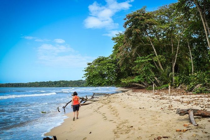 Full-Day Tour to Cahuita National Park From Puerto Limon - Inclusions and Logistics
