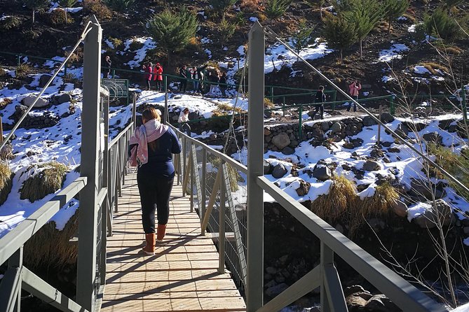 Full Day Tour to Cajón Del Maipo in Small Group - Traveler Reviews and Feedback