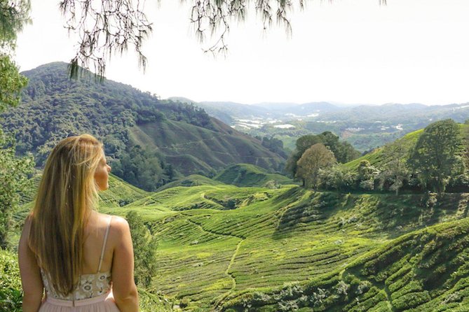 Full Day Tour to Cameron Highlands With Batu Caves Stopover - Inclusions and Additional Information