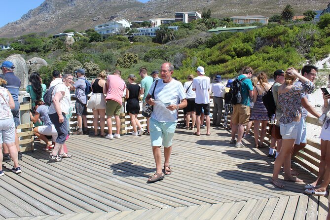 Full-Day Tour to Cape Point and Cape of Good Hope - Boulders Beach Penguins