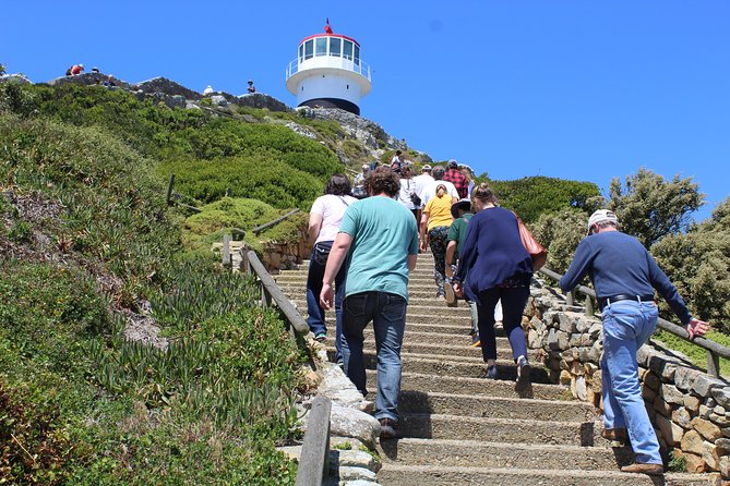 Full-Day Tour to Cape Point and Cape of Good Hope - Seal Island Ferry Trip