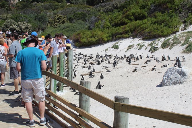 Full-Day Tour to Cape Point and Cape of Good Hope - Additional Information