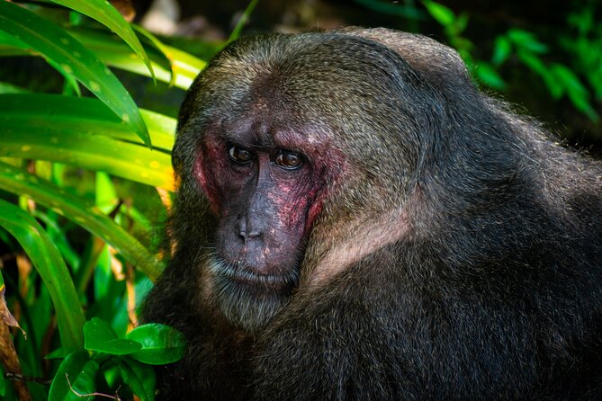 Full Day Tour to Catemaco and Los Tuxtlas With Transportation - Additional Information