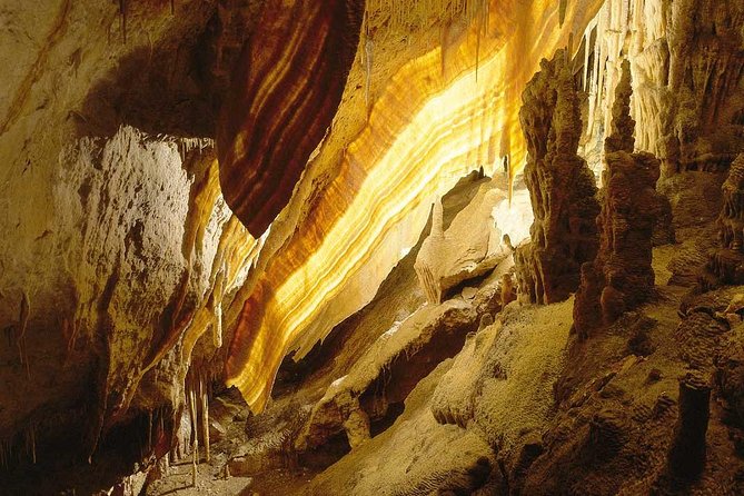 Full Day Tour to Caves of Drach and Hams With Porto Cristo and Pearl Factory - Transportation and Accessibility