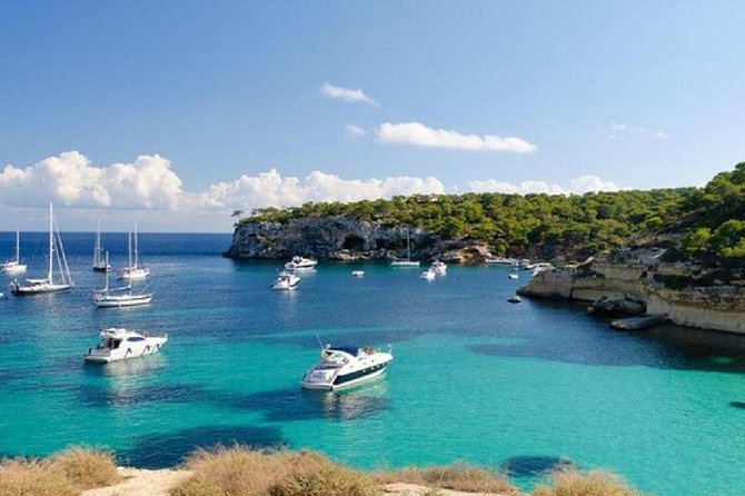 Full Day Tour to Caves of Drach and Hams With Porto Cristo and Pearl Factory - Customer Feedback and Experiences