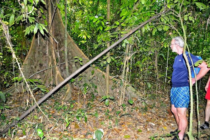 Full-Day Tour to Cheow Lan Lake in Khao Sok National Park From Krabi - Guide and Activities