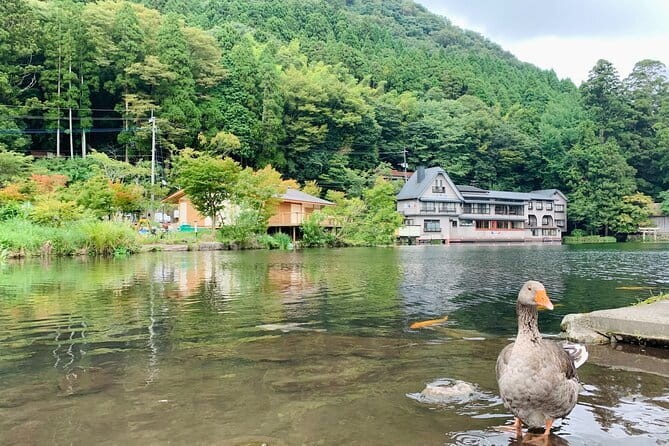 Full Day Tour to Dazaifu Tenmangu Yufuin Beppu Jigoku - Cancellation and Refund Policies